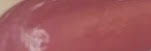 Load image into Gallery viewer, Lipped Up &quot;Brick House&quot; Lip Gloss
