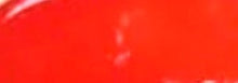 Load image into Gallery viewer, Lipped Up &quot;Flame&quot; Lip Gloss
