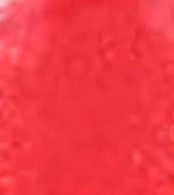 Lipped Up "Queen Bee" Lip Gloss